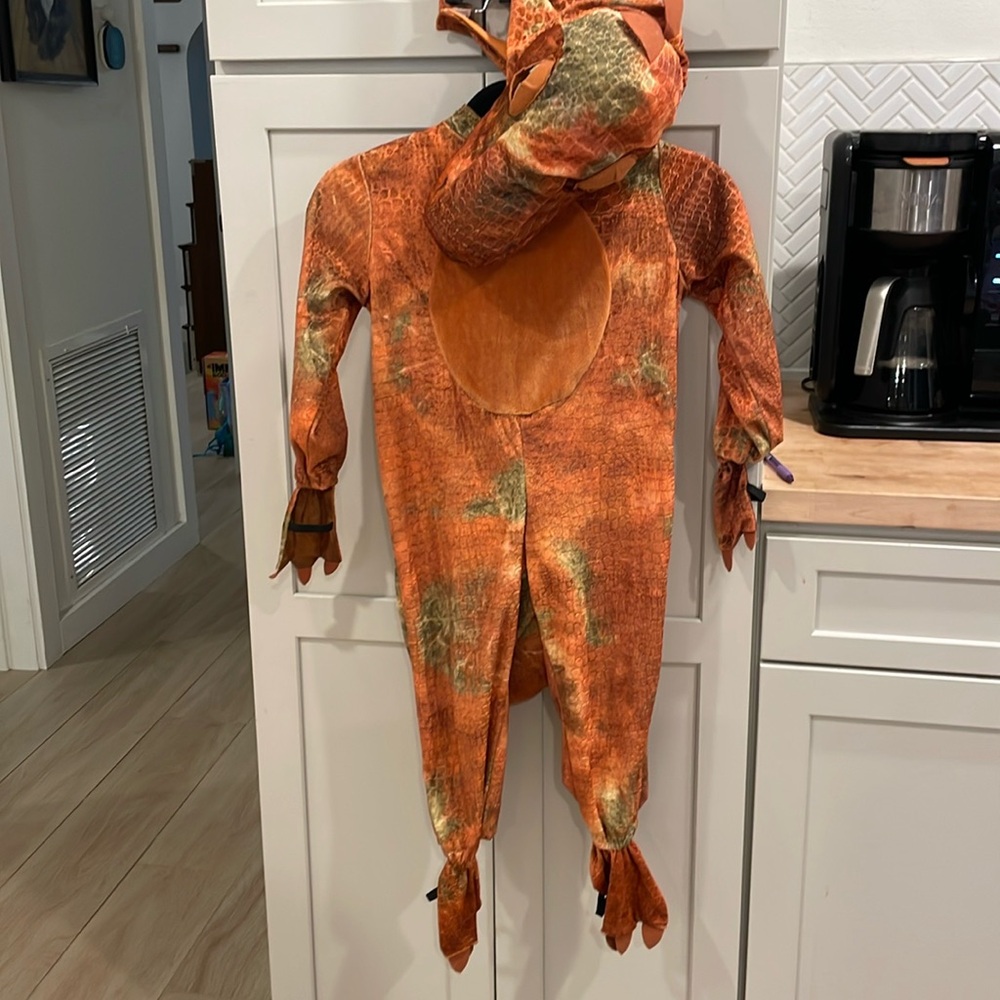 Dinosaur Costume